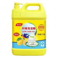 5千克洗洁精（2915）
